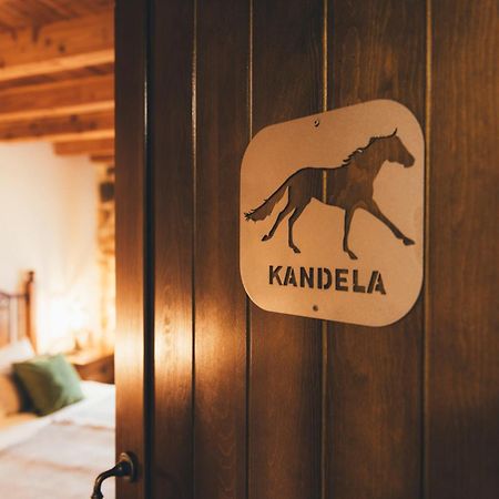 Arialdegi Aparthotel San Marcos  Bagian luar foto